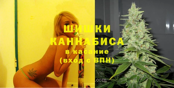 шишки Остров